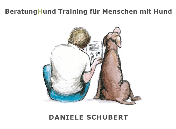 Beratung Hund Training